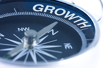 Business growth