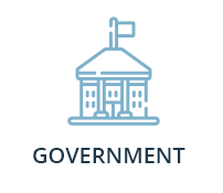 Government